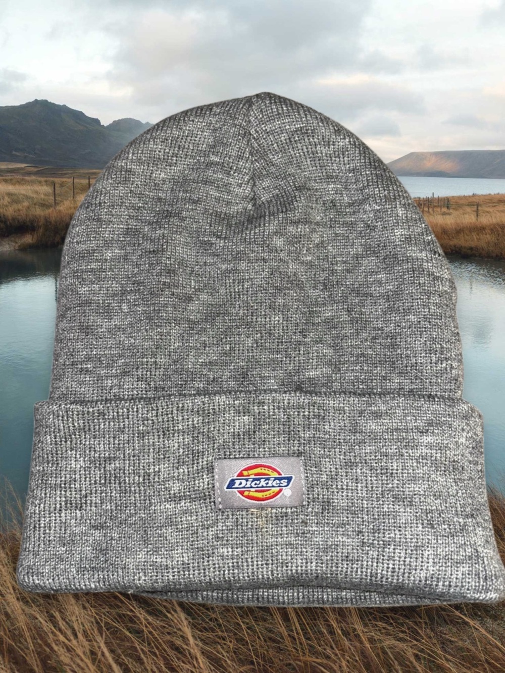 Dickies Knit Cap